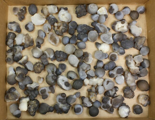 Lot: to Natural Chalcedony Nodules - Pieces #137986